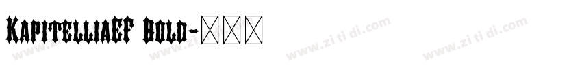 KapitelliaEF Bold字体转换 KapitelliaEF Bold字体转换
